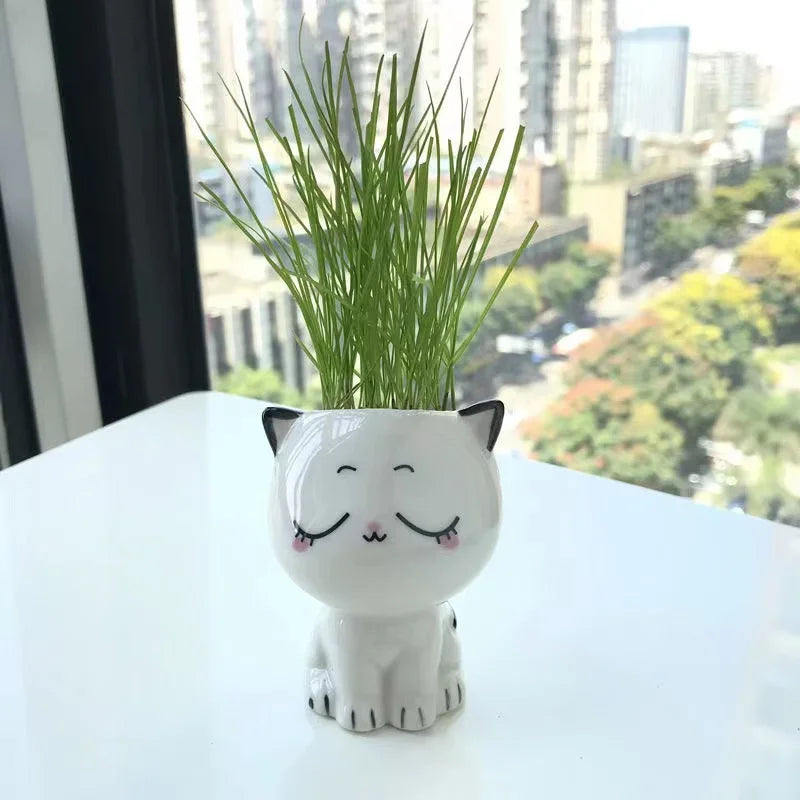 Ceramic Flowerpot Mini Cat Shaped Cartoon Cute Potted Plant Desktop Potted Expression Cat Plant Pot Desk Decorate Small Ornament