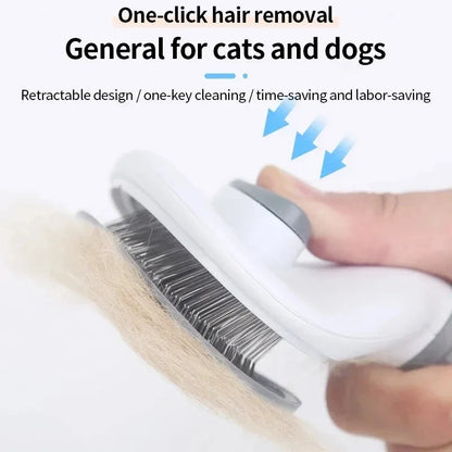 Pet Hair Remove Brush