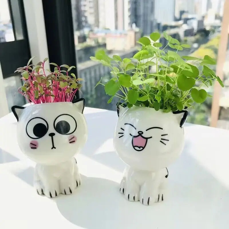 Ceramic Flowerpot Mini Cat Shaped Cartoon Cute Potted Plant Desktop Potted Expression Cat Plant Pot Desk Decorate Small Ornament