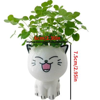 Ceramic Flowerpot Mini Cat Shaped Cartoon Cute Potted Plant Desktop Potted Expression Cat Plant Pot Desk Decorate Small Ornament