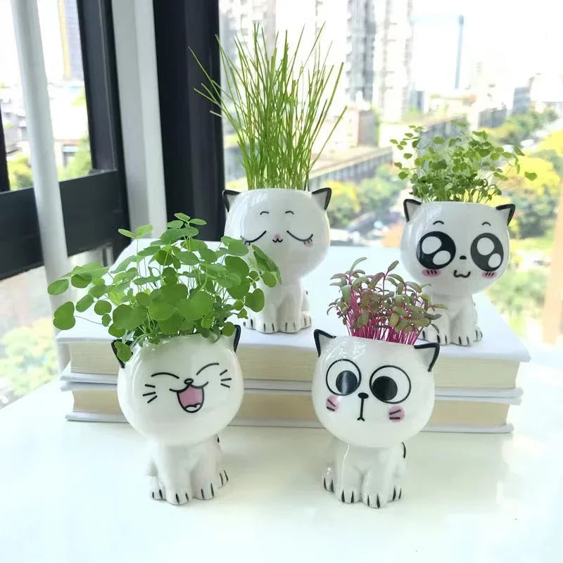 Ceramic Flowerpot Mini Cat Shaped Cartoon Cute Potted Plant Desktop Potted Expression Cat Plant Pot Desk Decorate Small Ornament